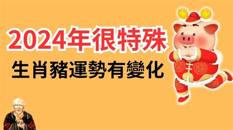 生肖豬運勢|2024年最強運3生肖 屬豬事業、財富登巔峰